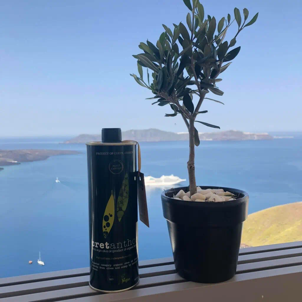 Cretanthos olive oil products in Crete