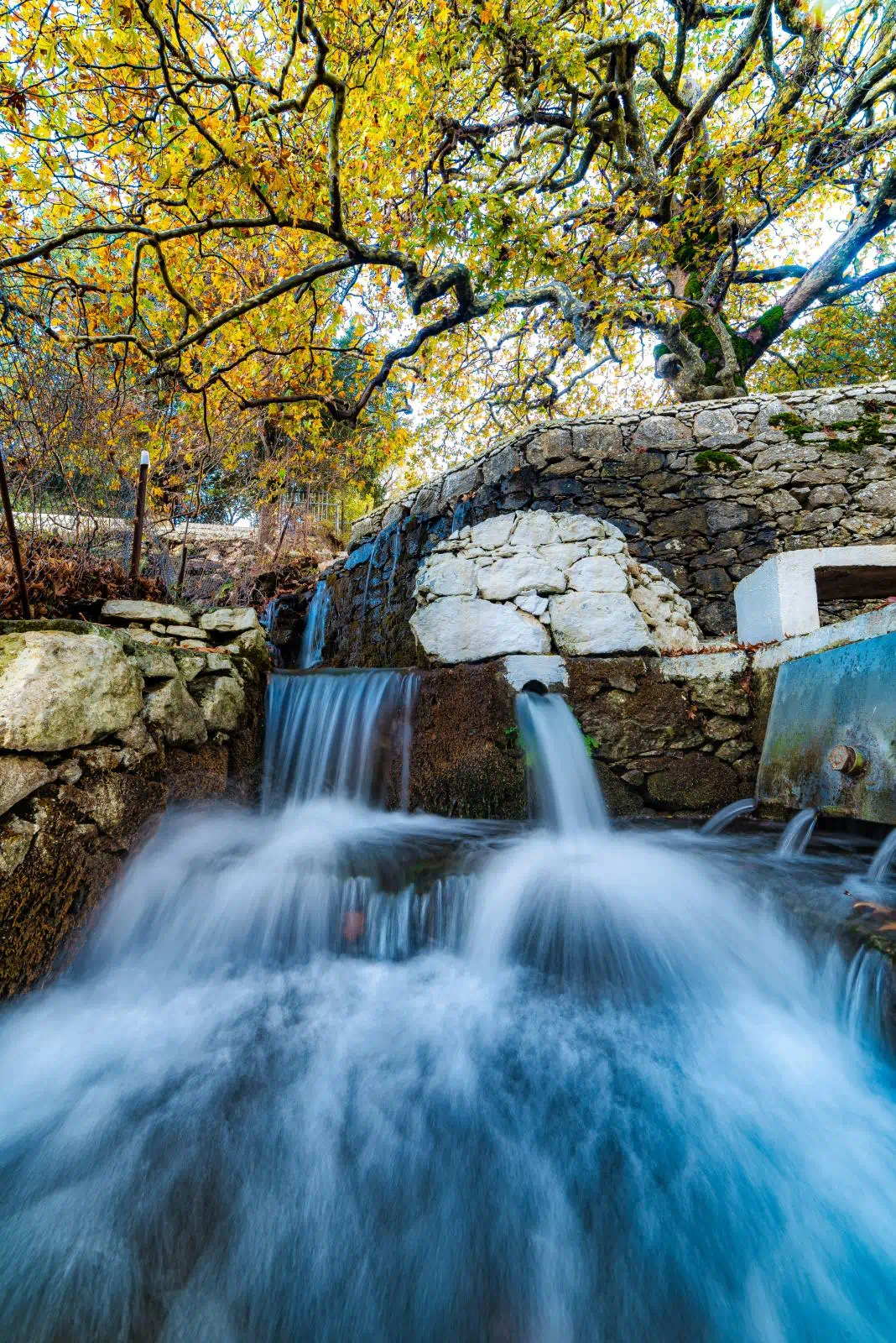 Water flow between the plane trees in Kaloeidena monastery, near Ano Meros in Crete