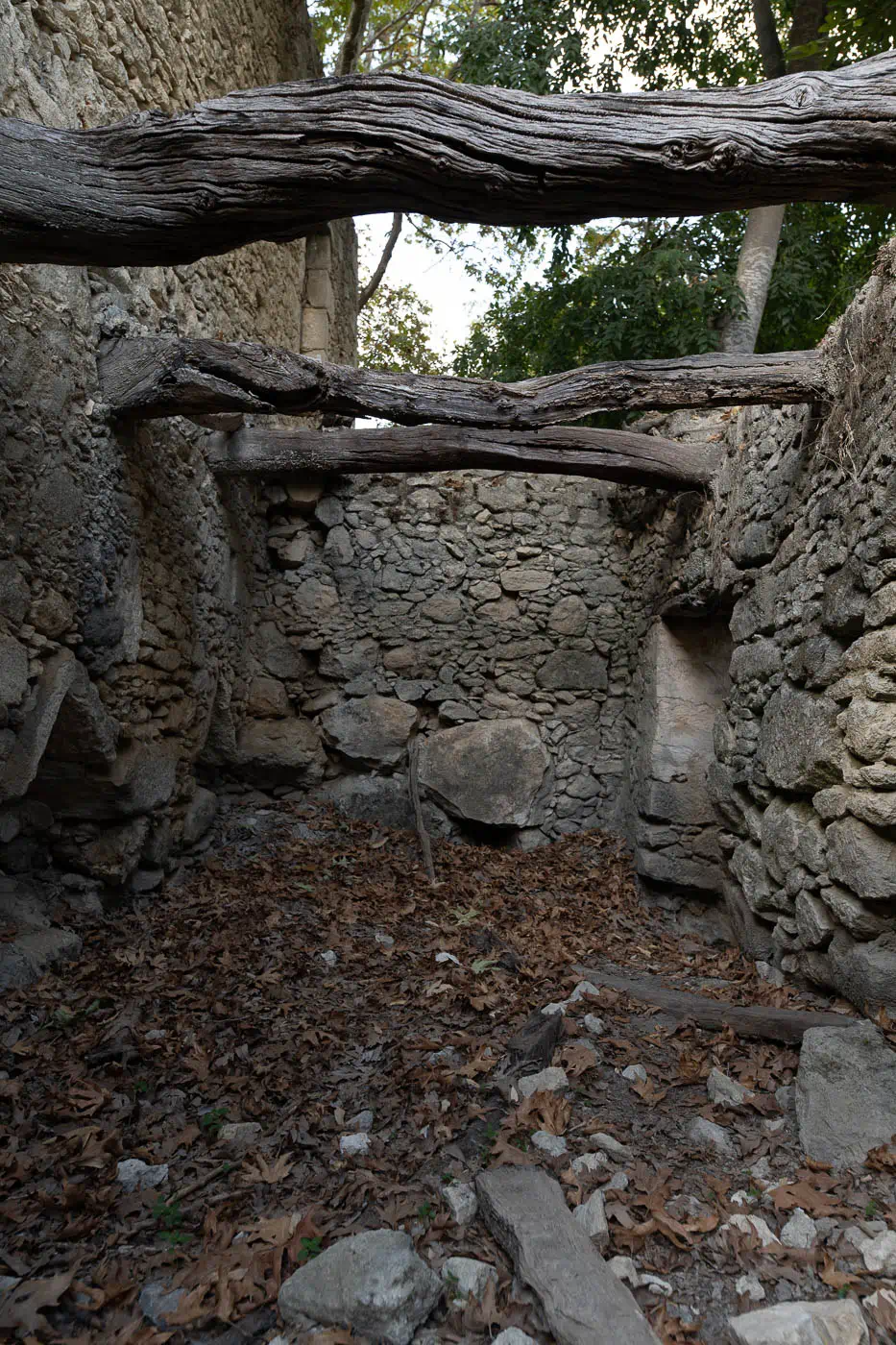 Mouses abandoned village