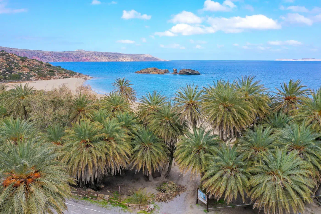 Vai palm forest and beach in Siteia Crete