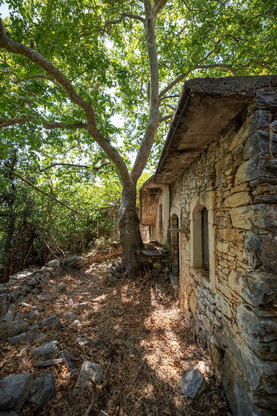 Doxaro in Mylopotamos Rethymno Crete