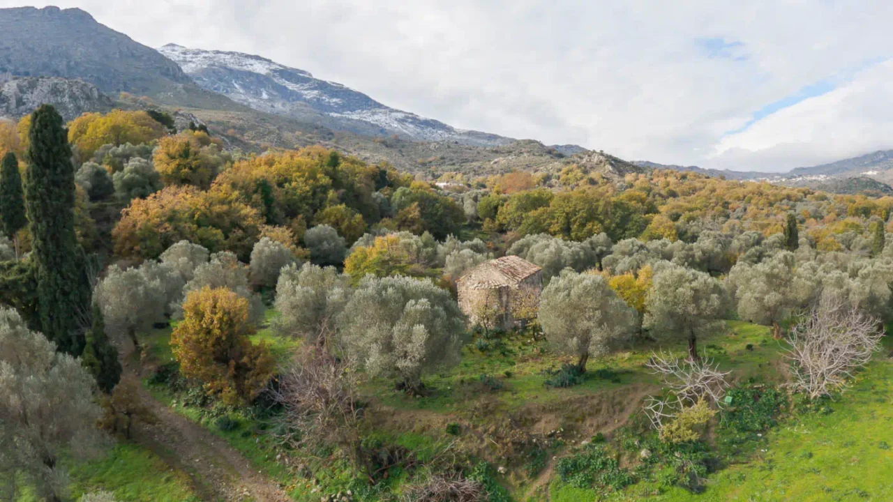 Church of Despotis Christos in Smiles