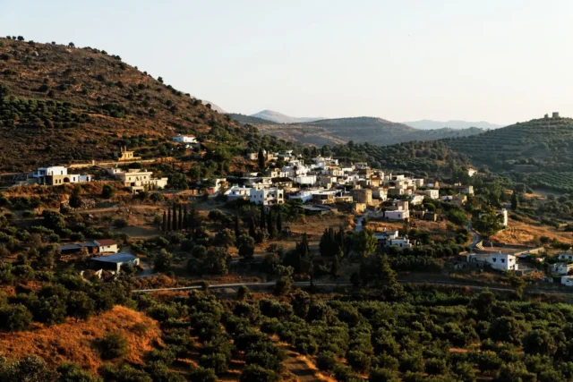 Kouses, Phaistos