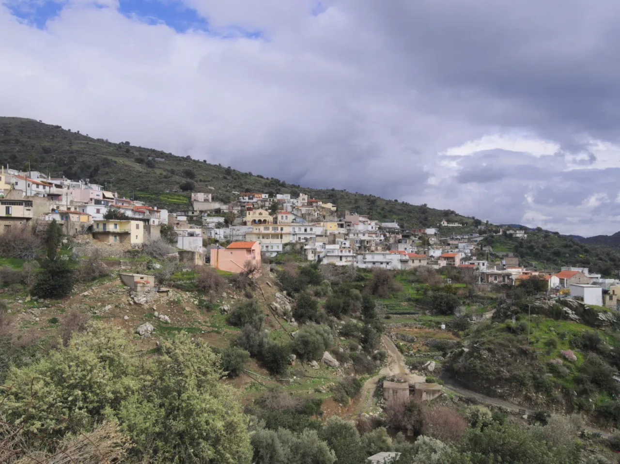 Platanos in south Psiloritis Amari Crete, photo by Wikipedia