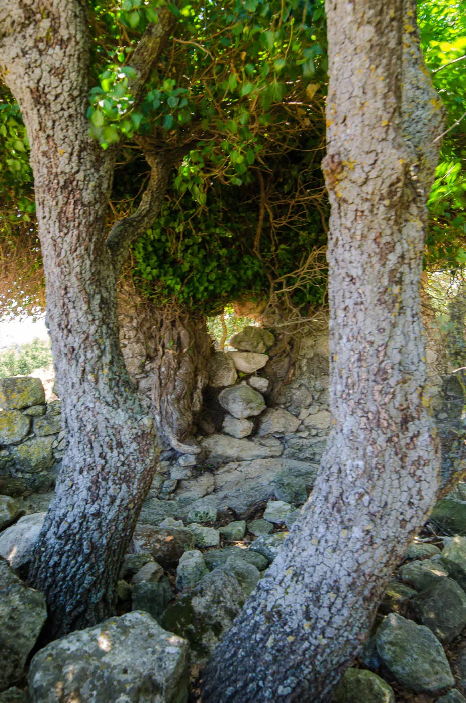 Axenti, abandoned village, between Agios Thomas and Agia Varvara in Heraklion Crete