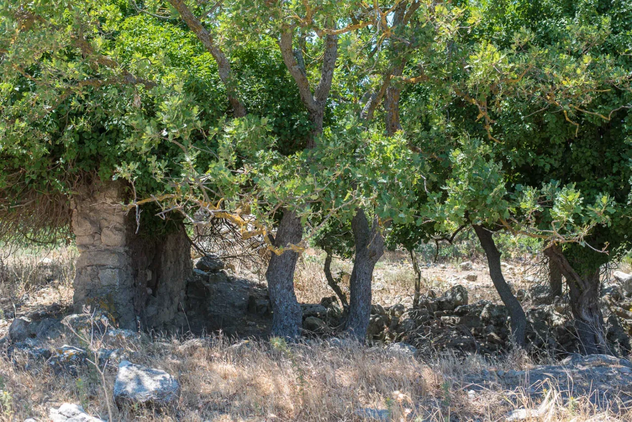 Axenti, abandoned village, between Agios Thomas and Agia Varvara in Heraklion Crete