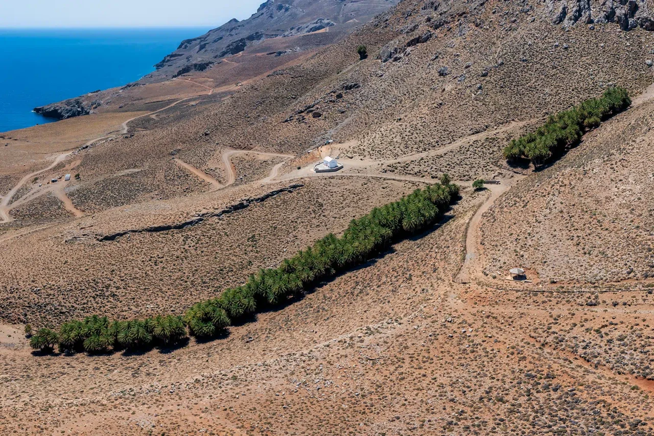 The Palm Forest of Agios Nikitas