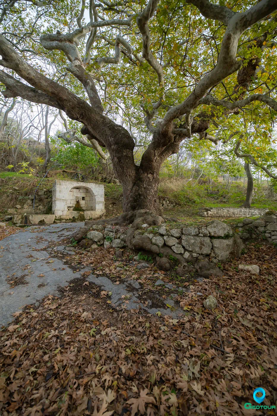 The fountain and the plane tree in Mikra Episkopi abandoned village in Municipality of Minoa Pediada, Heraklion